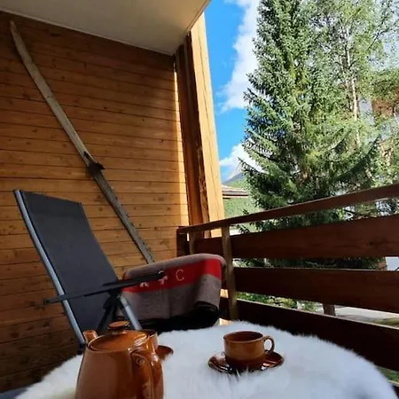 Apollo 5 Apartment Saas-Fee