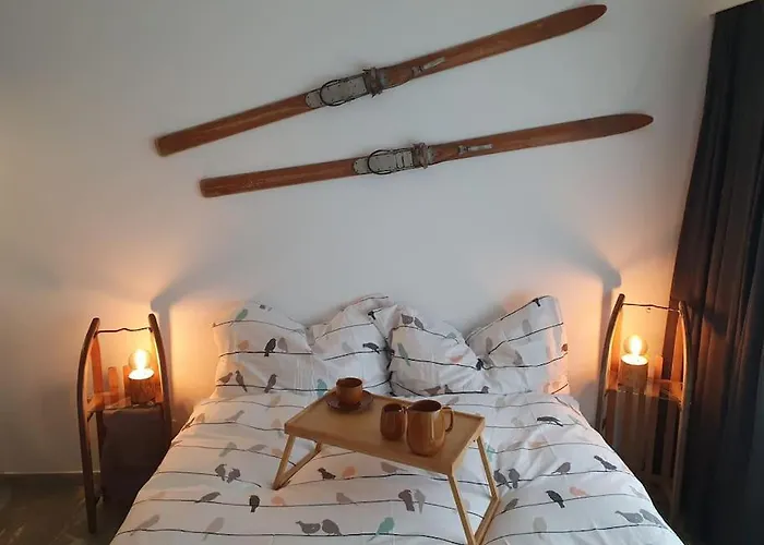 Apollo 5 Apartment Saas-Fee